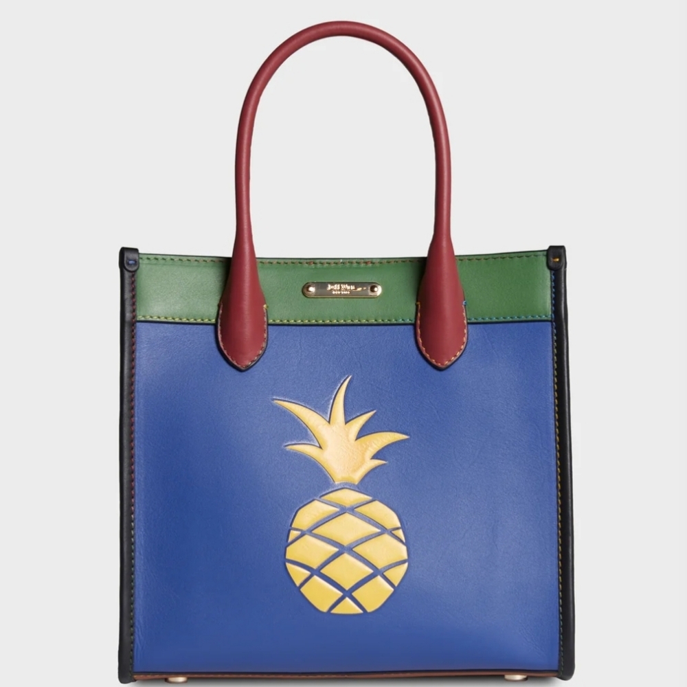 NWT...Hampton Tote 22 in Inclusive Rainbow Colorblock.